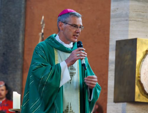 Bischof Heiner Wilmer SCJ zum Bischof von Münster ernannt