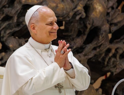 Papst Leo XIV. setzt Impulse für katholische Akademiker